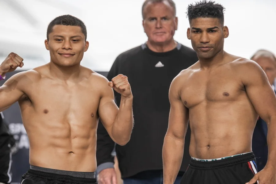 Pitbull Cruz Height