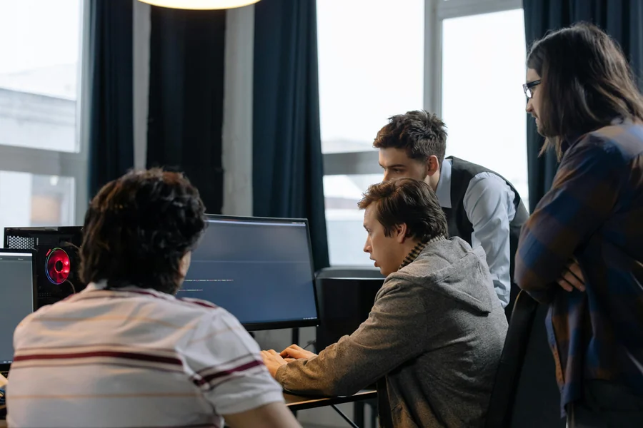 Systems Professionals